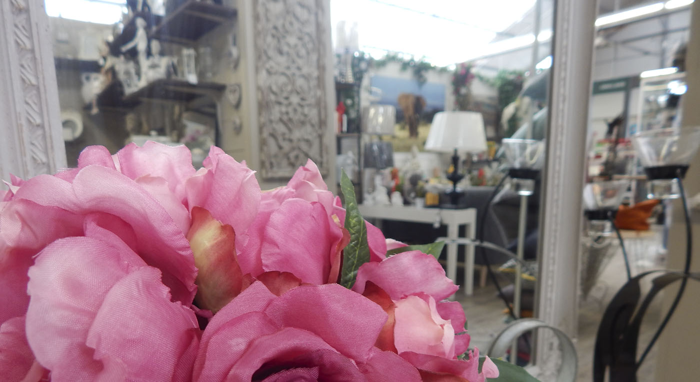 décoration d'intérieur vaucluse jardinerie animalerie accessoires de jardinerie 84600