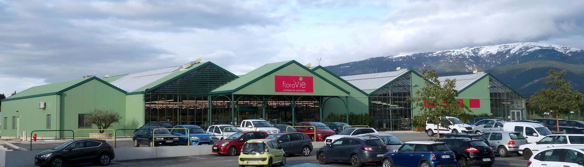 Vue d'une sélection de fleurs en vente en magasin