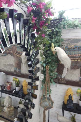 Jardinerie animalerie décoration en Vaucluse